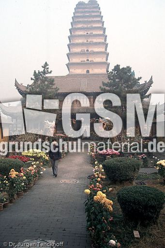 China (38 von 257).jpg